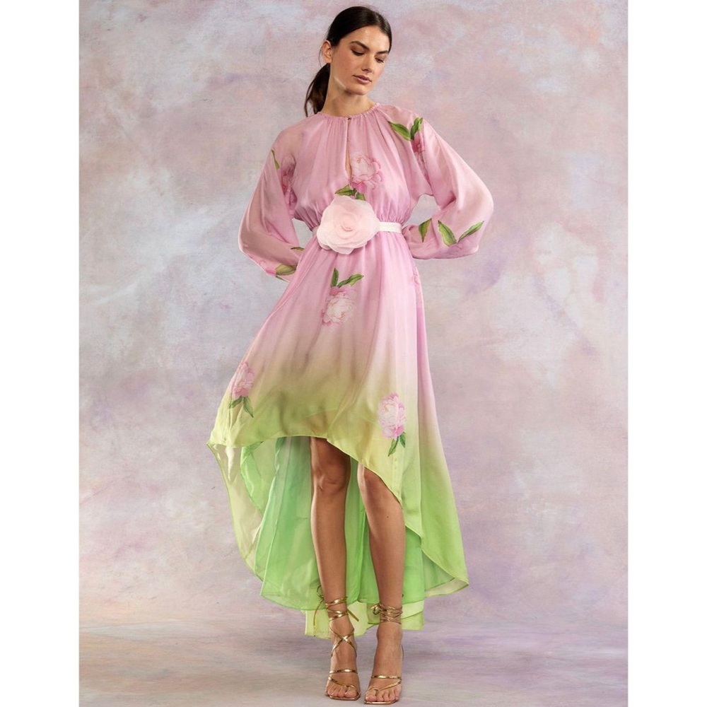 NWT Cynthia Rowley Bari Dress Small - Picture 2 of 3